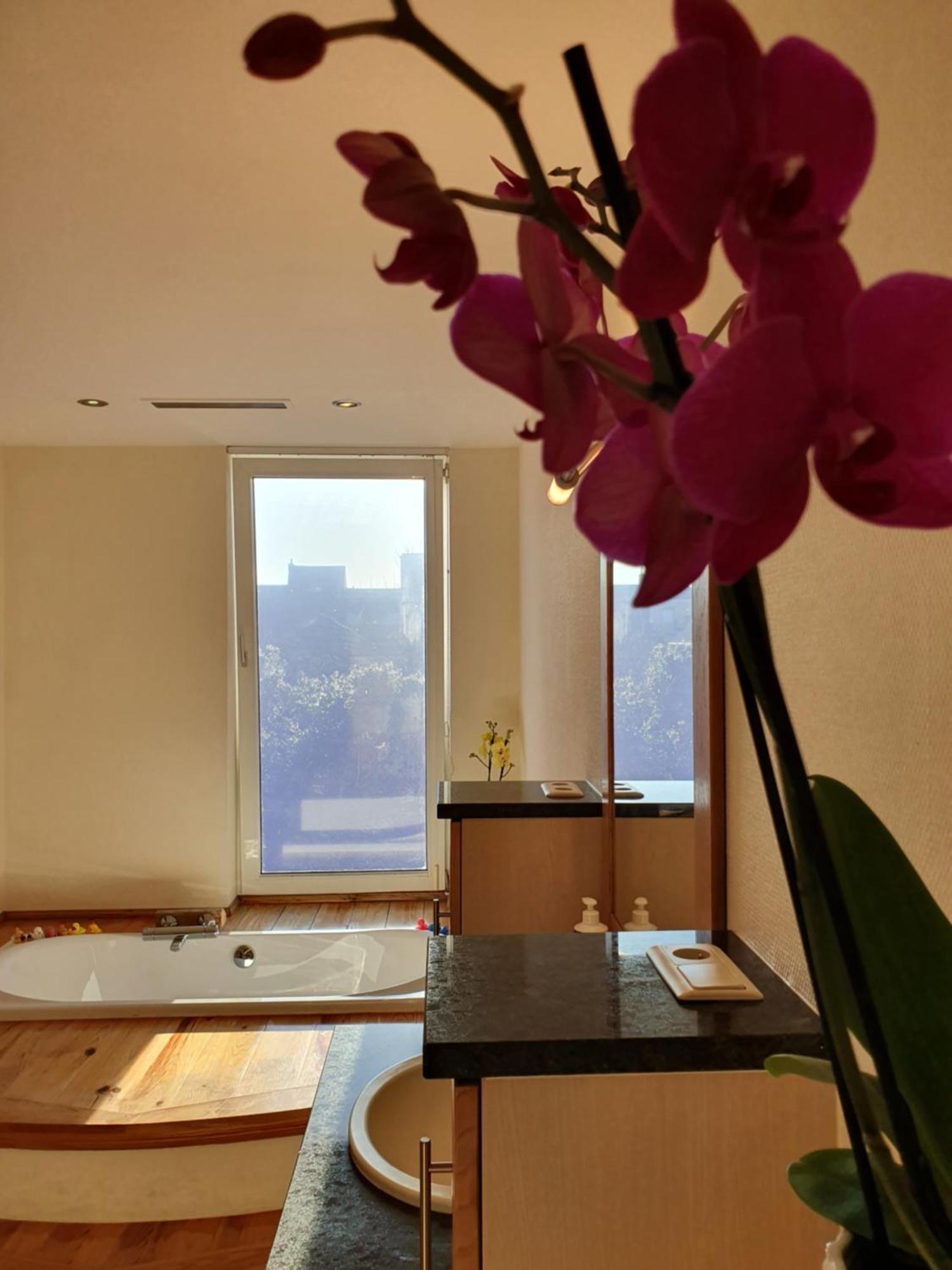 Huize La Passion Vacationhouse 10 Min Walk From The Sea Villa Миделкерке Екстериор снимка